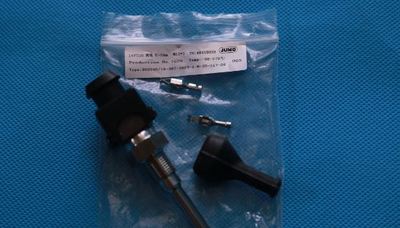 JUMO  温度传感器（PT100）两线